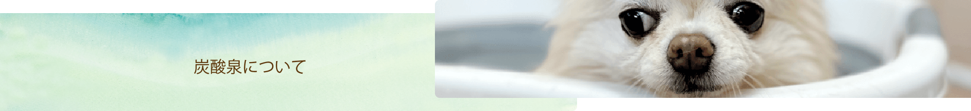 炭酸泉について