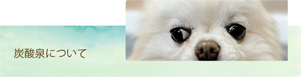 炭酸泉について