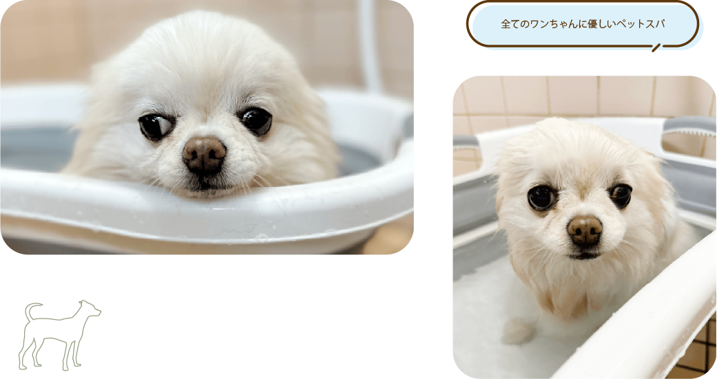 すべてのワンちゃんに優しいペットスパ